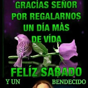 Meet your Posher, Marbella